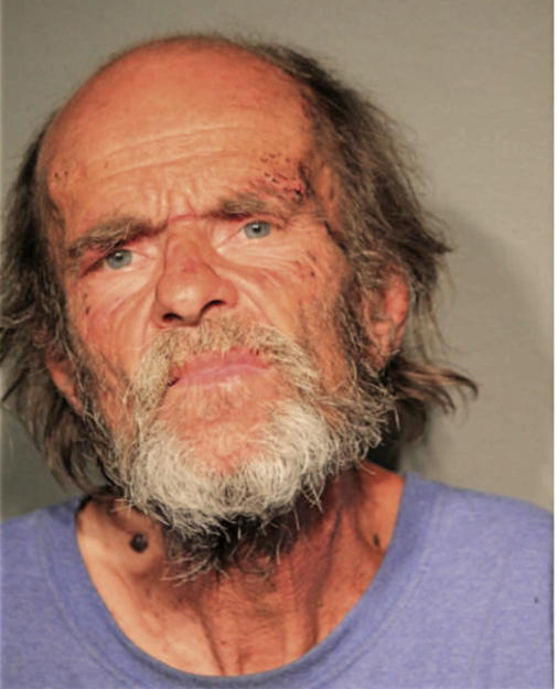MICHAEL W OLLIS, Cook County, Illinois