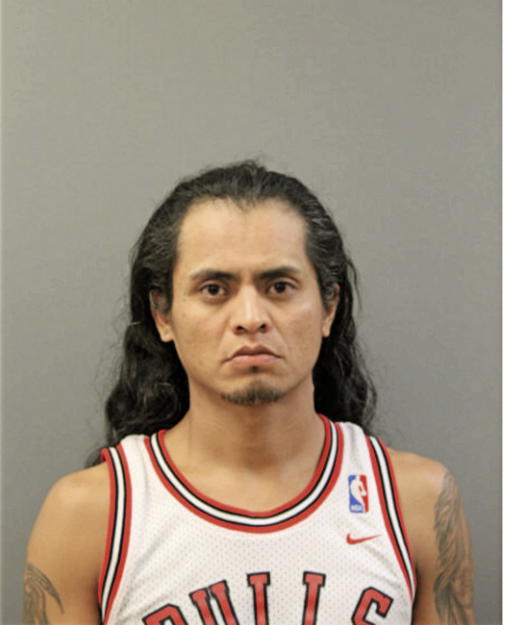 PABLO R REYES, Cook County, Illinois