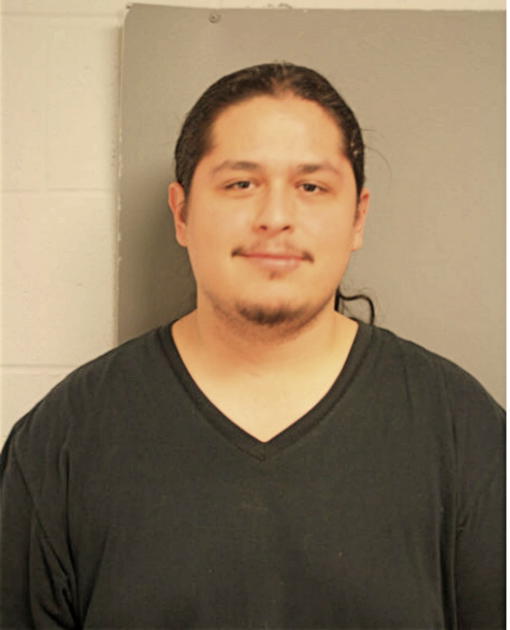 JAVIER S BRANHAM, Cook County, Illinois