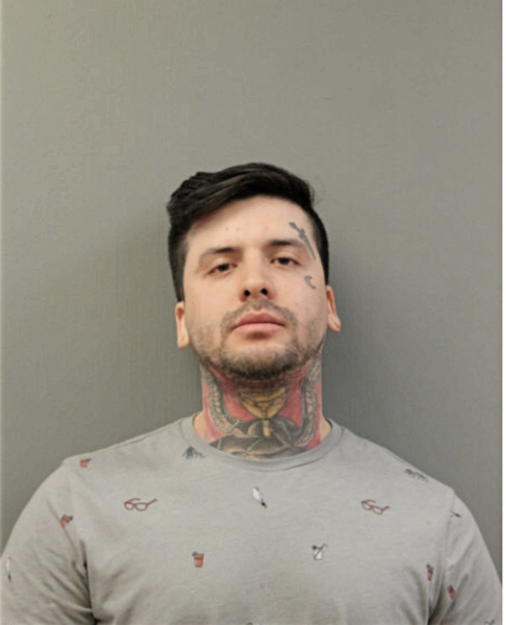 DIEGO E SANTOYO-MENDEZ, Cook County, Illinois