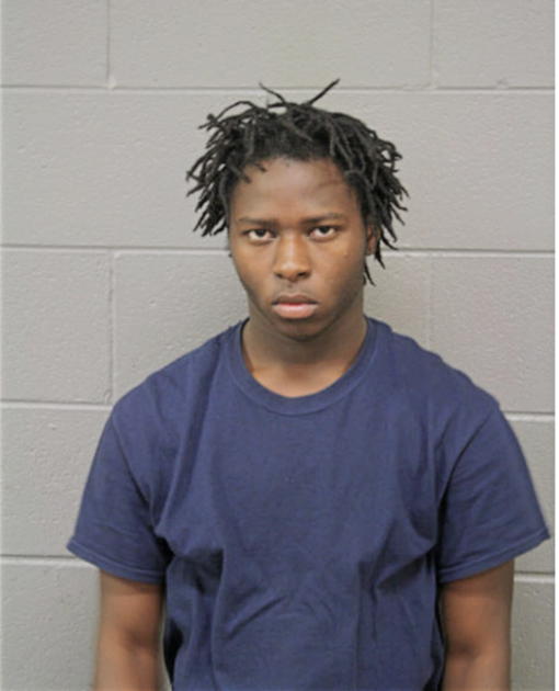 STEVIE L THOMAS, Cook County, Illinois
