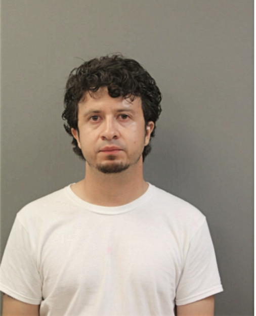 EDSON R VALENCIA VILLANUEVA, Cook County, Illinois