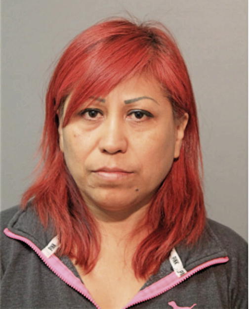 REBECA ADAME-GONZALEZ, Cook County, Illinois