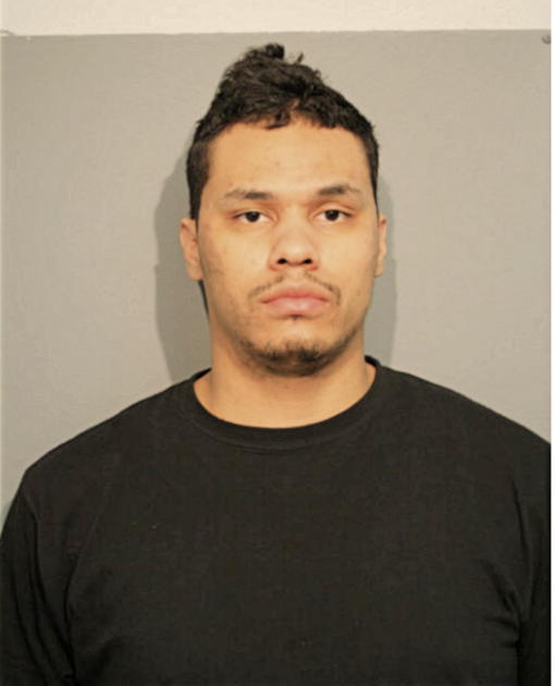 NICHOLAS M BRADBURY, Cook County, Illinois