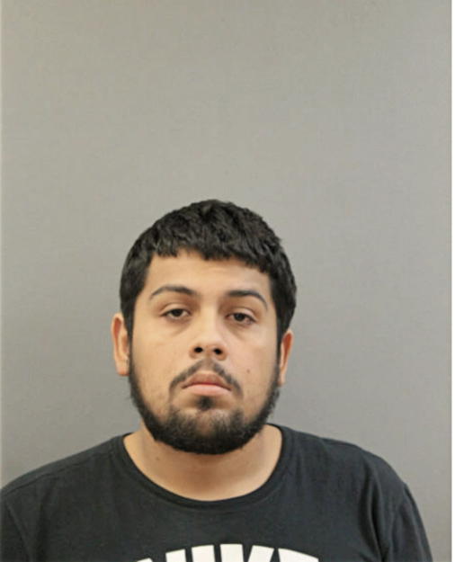 STEVEN A CORDON, Cook County, Illinois