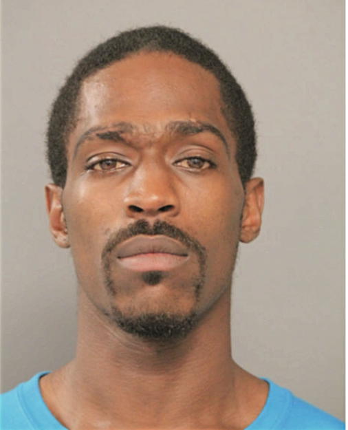 ANDRE L DOYLE, Cook County, Illinois