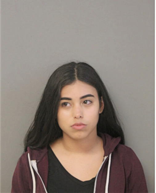 NATASHA FERNANDEZ, Cook County, Illinois