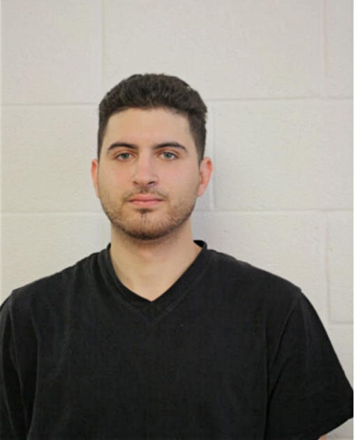 CHRISTIAN J GONZALEZ, Cook County, Illinois