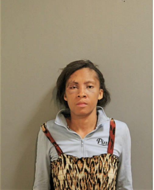DOROTHY L HAWKINS, Cook County, Illinois