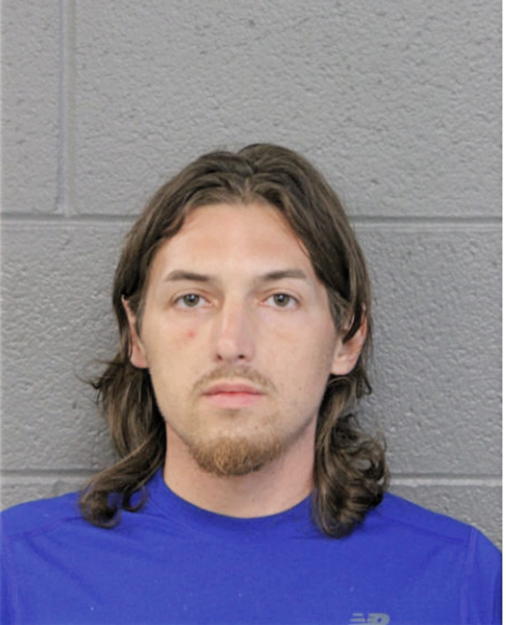KYLE L KRYSTEK, Cook County, Illinois