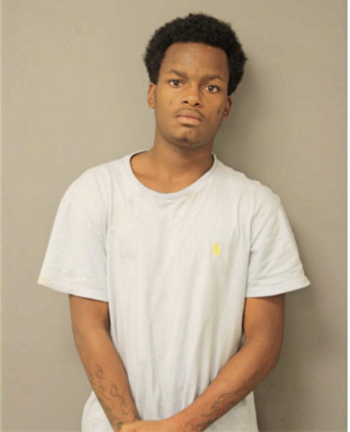 REGINALD R LITTLE, Cook County, Illinois