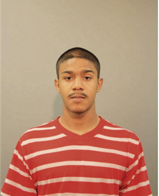 JAVIER A MENDEZ, Cook County, Illinois