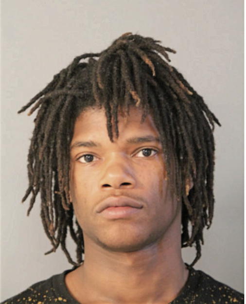 THEON L MITCHELL, Cook County, Illinois