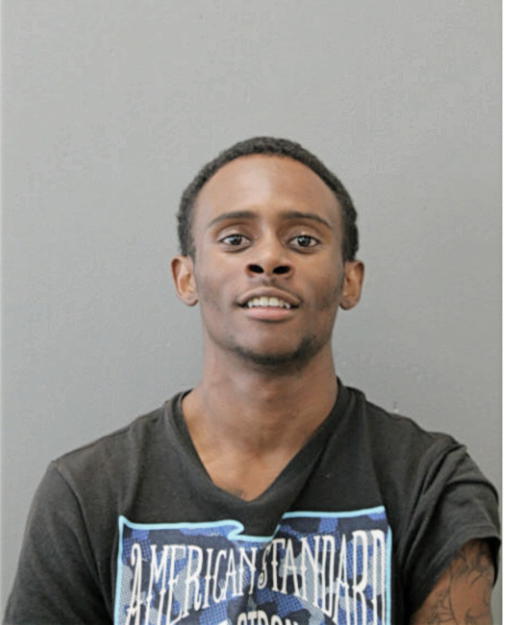 AMIR M OGDEN, Cook County, Illinois