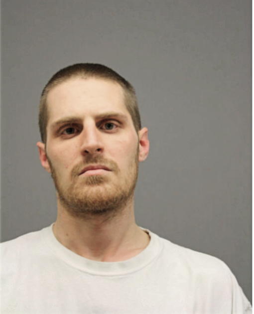 MICHAEL R SCHULD, Cook County, Illinois