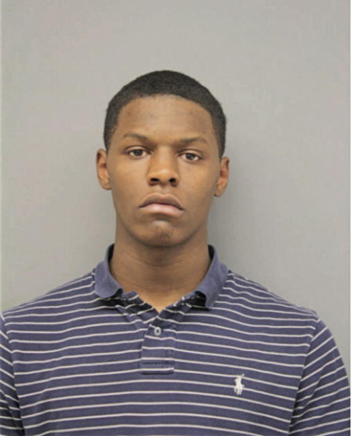 PATRICK S SHAW, Cook County, Illinois