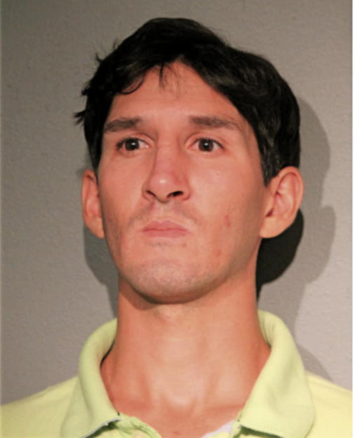 MATTHEW J WATCHEK, Cook County, Illinois