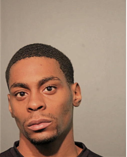 LEZZERRICK M WEBSTER, Cook County, Illinois