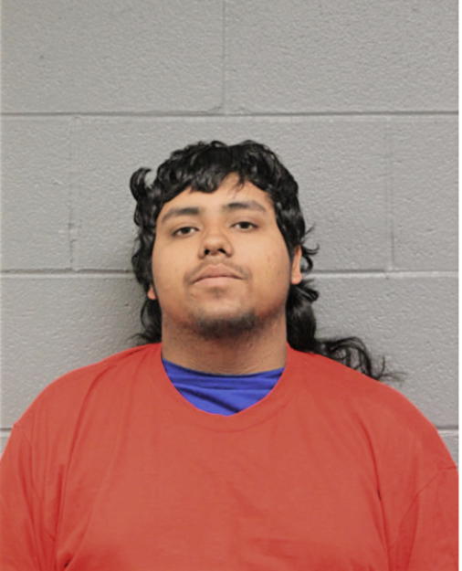 JOHNATHAN ARELLANO, Cook County, Illinois