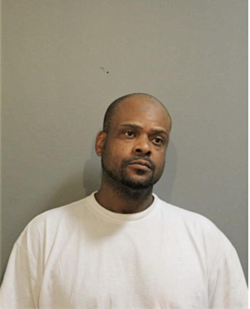 HENRY L AUSTIN, Cook County, Illinois