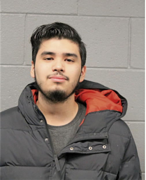 PEDRO RAMOS AVALOS, Cook County, Illinois