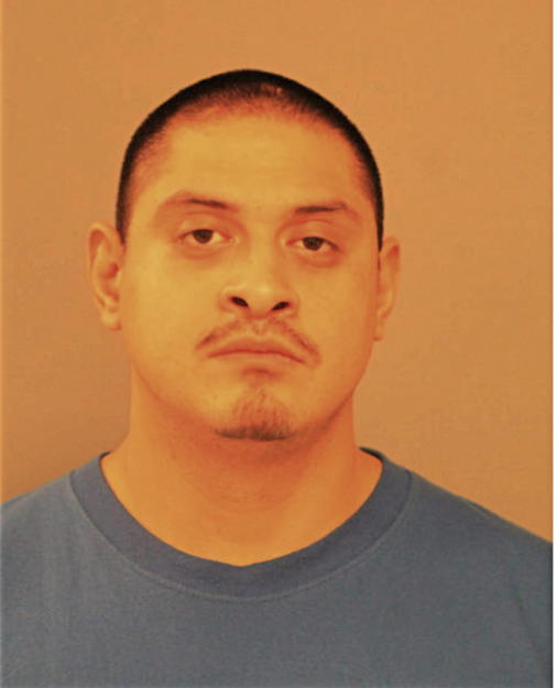 RICARDO BAHENA, Cook County, Illinois