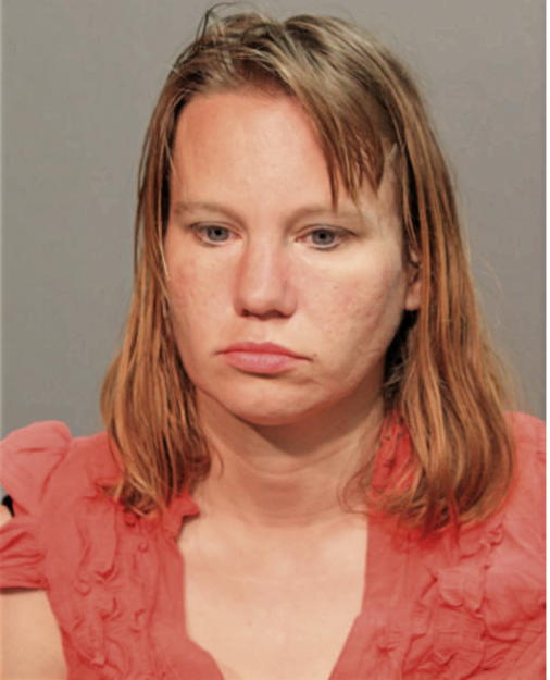 MICHELE G BARCZAK, Cook County, Illinois
