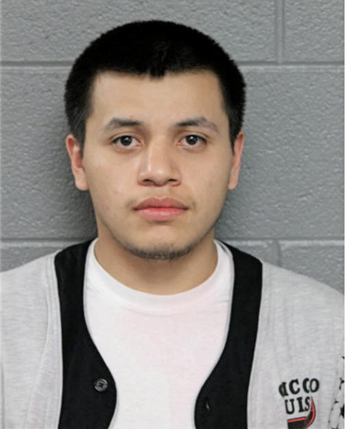 JOSE C CARDOZA, Cook County, Illinois