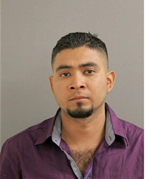 OSCAR CASTREJON, Cook County, Illinois