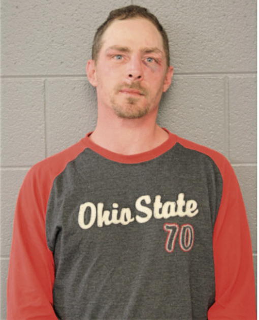 MICHAEL J CLARK, Cook County, Illinois