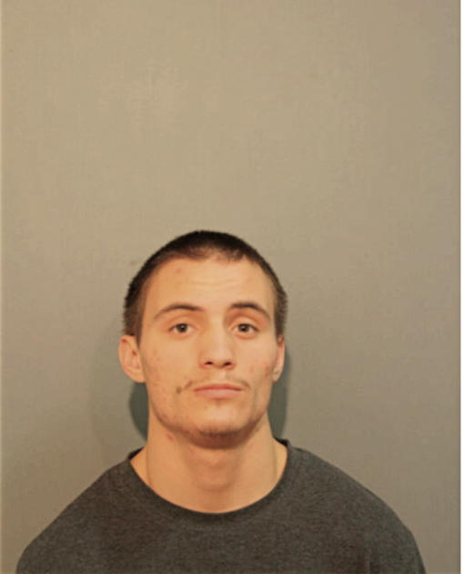 LUIS A CRESPO, Cook County, Illinois