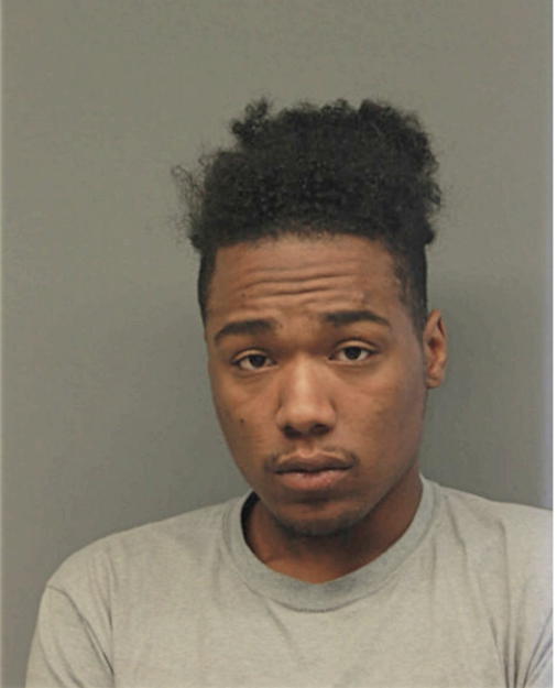 ANTHONY C D BAINES, Cook County, Illinois