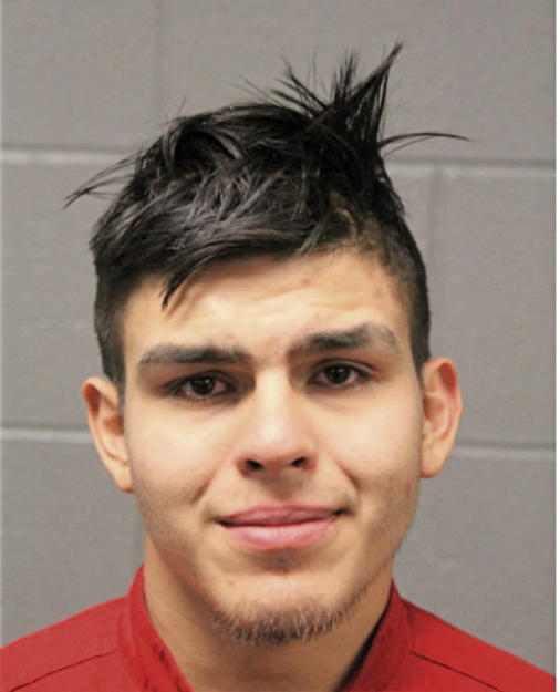 RICARDO ESPARZA, Cook County, Illinois