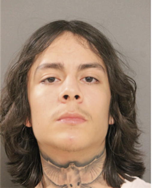 ALEXIS GUIOVANNY ESTRADA, Cook County, Illinois