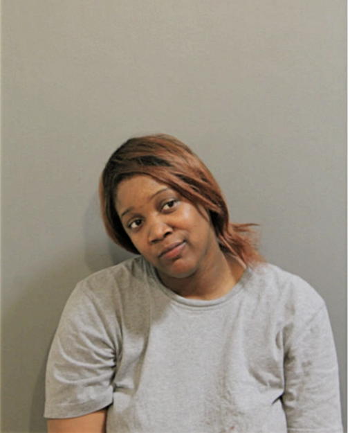 GENESIS JJ FLAGG, Cook County, Illinois