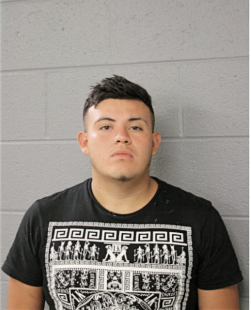 EDWIN A GUTIERREZ-ACOSTA, Cook County, Illinois