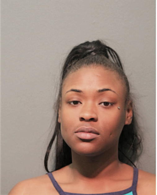 BRIANNA M JOHNSON, Cook County, Illinois