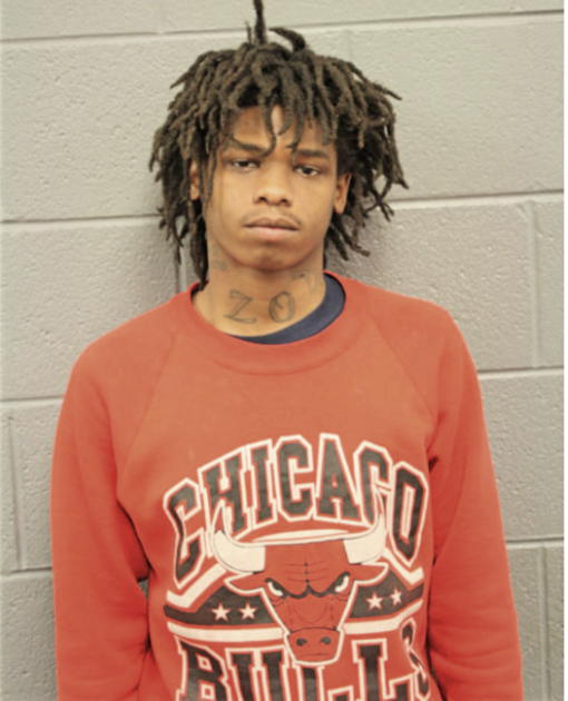 LORENZO G JOHNSON, Cook County, Illinois
