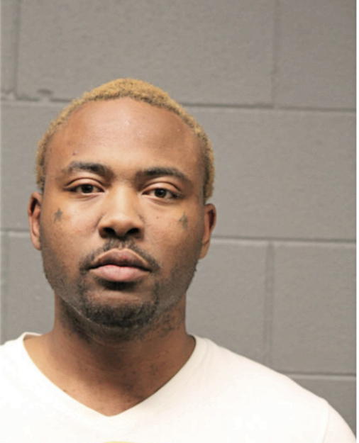 TIMOTHY L JOHNSON, Cook County, Illinois