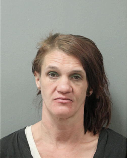 JULIE M KING, Cook County, Illinois