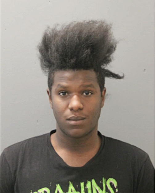 JAMES D LOWERY, Cook County, Illinois