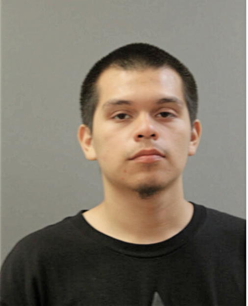 FERNANDO MENA, Cook County, Illinois