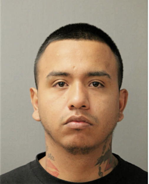 MOISES MENDOZA, Cook County, Illinois
