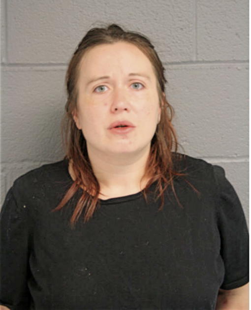 MELISSA E NASH, Cook County, Illinois