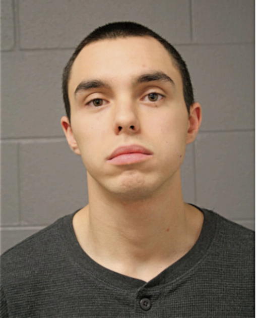 DAMON J OTTO, Cook County, Illinois