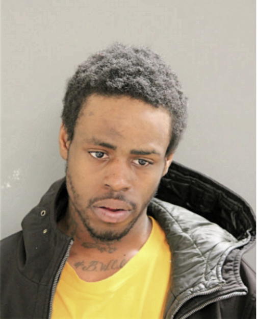 ZYSHONNE STEVENSON, Cook County, Illinois