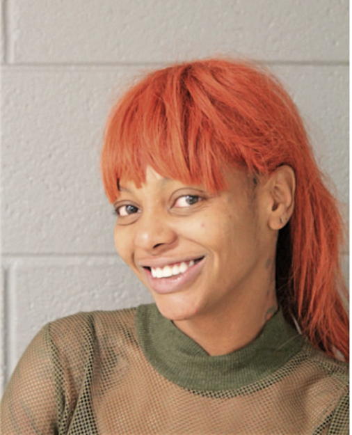 TENESHA N THOMPSON, Cook County, Illinois