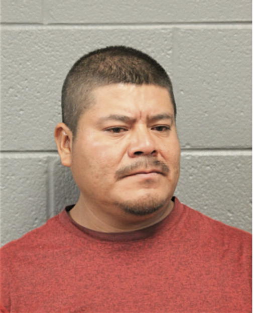 VICENTE TOMAS, Cook County, Illinois