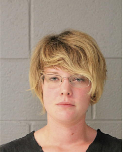 MEGAN M WALDEN, Cook County, Illinois