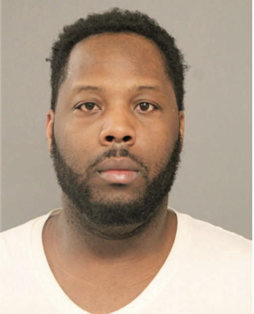 ROBERT L YOUNG, Cook County, Illinois